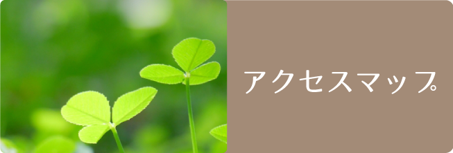 アクセスマップ